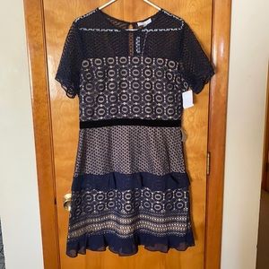 Navy Chelsea28 Velveteen Belt Lace Sheath Dress